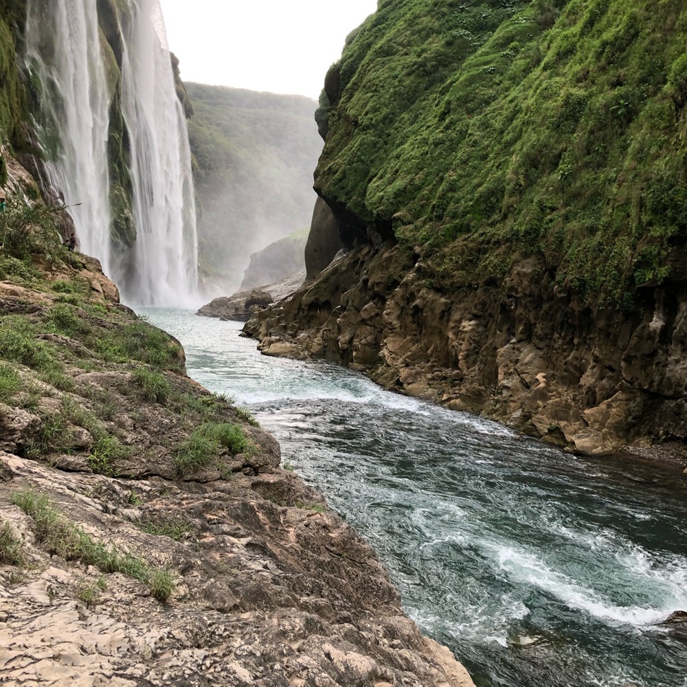 Meet your Posher, Diego